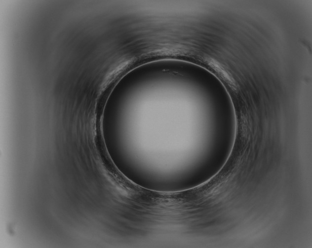 X0000093490486200710121510
