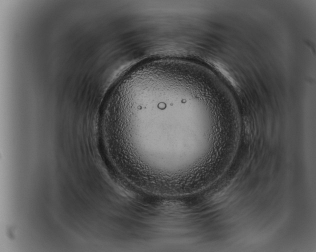 X0000093490487200710121510