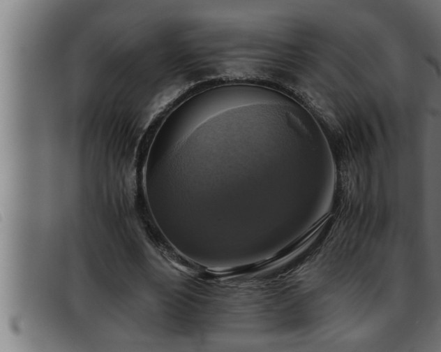 X0000093490488200710121510