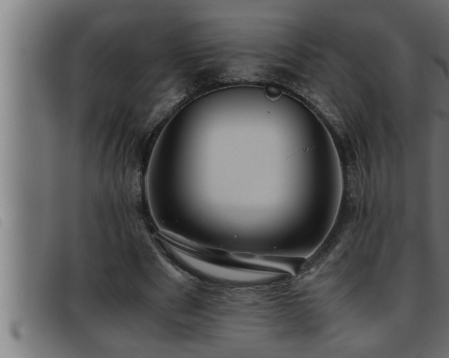 X0000093490489200710121510