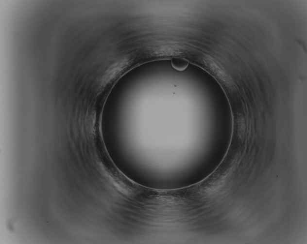 X0000093490490200710121510