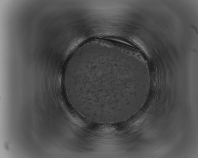 X0000093490491200710121510