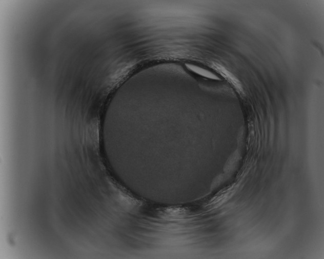X0000093490493200710121510