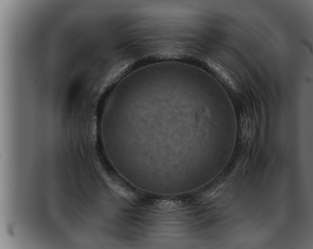 X0000093490494200710121510