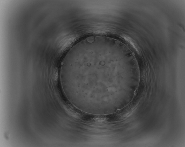 X0000093490495200710121510