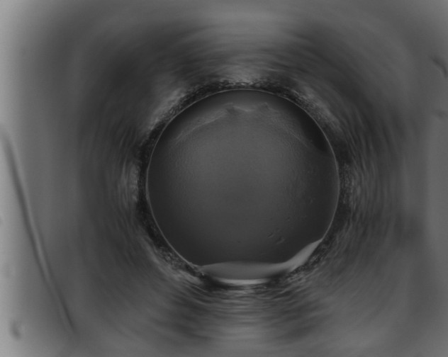 X0000093490496200710121510