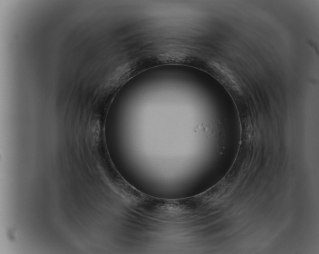 X0000093490498200710121509