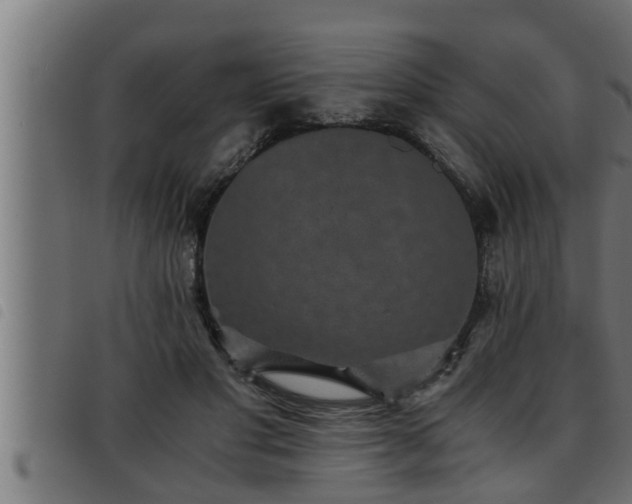 X0000093490501200710121509