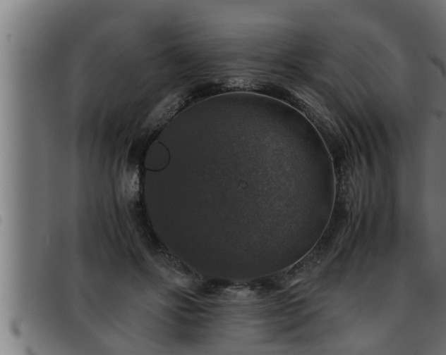 X0000093490502200710121509