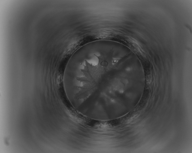 X0000093490503200710121509
