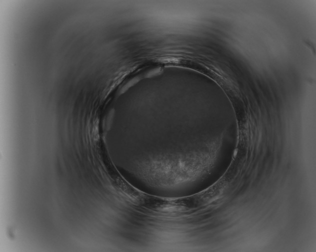 X0000093490504200710121509