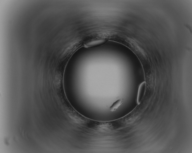 X0000093490505200710121509