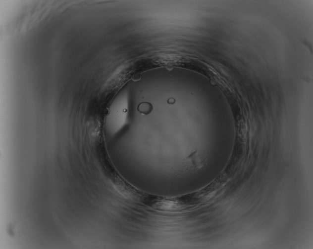X0000093490507200710121509