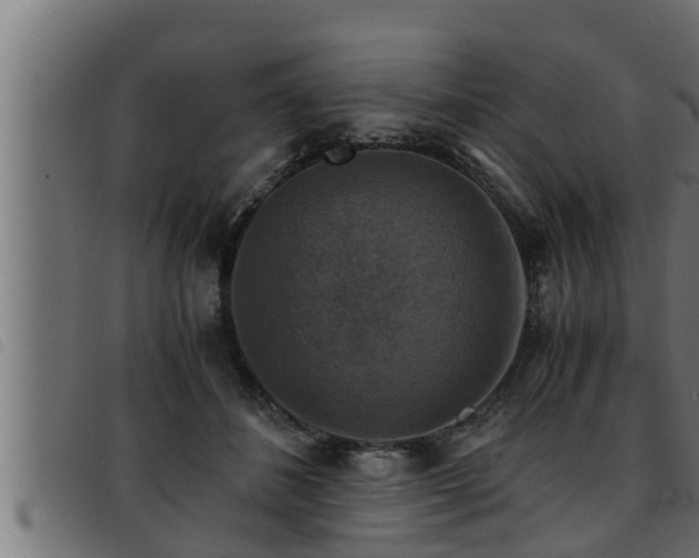 X0000093490508200710121509