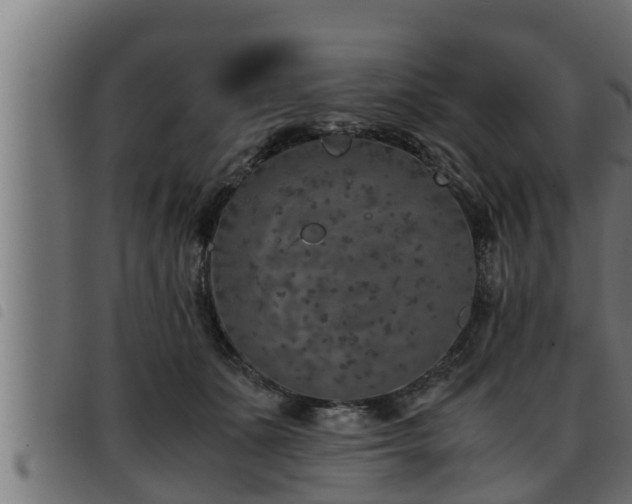 X0000093490511200710121509