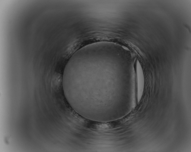 X0000093490513200710121509