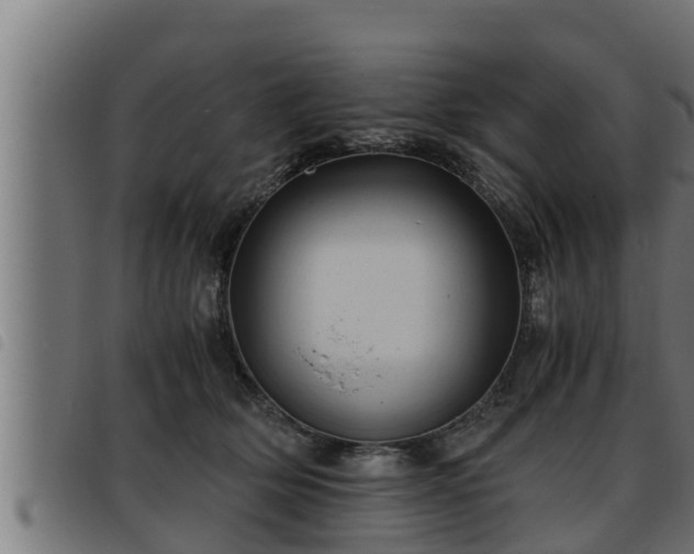 X0000093490514200710121509