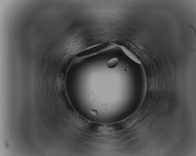 X0000093490515200710121509