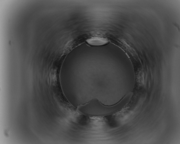 X0000093490516200710121509
