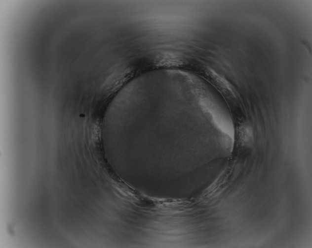 X0000093490517200710121509