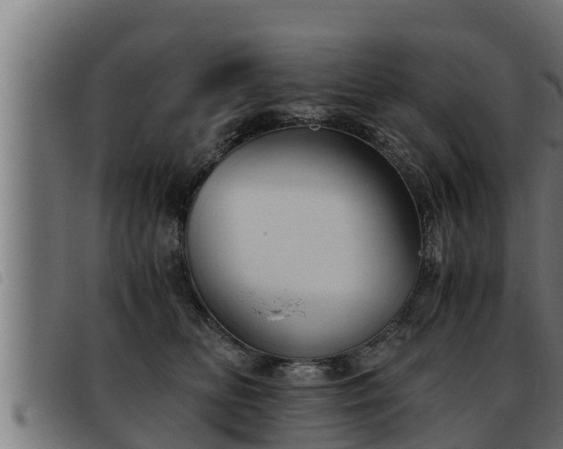 X0000093490518200710121509