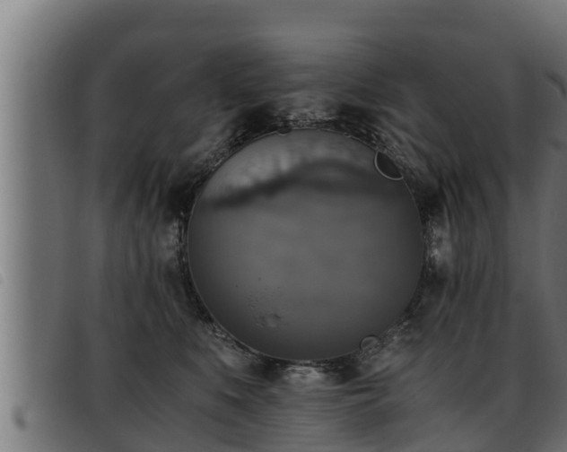 X0000093490519200710121509