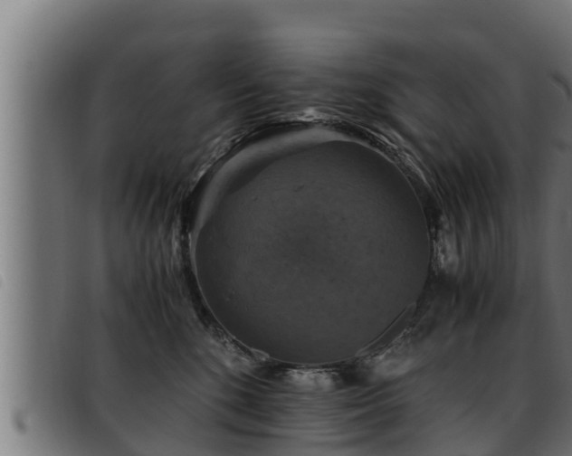 X0000093490520200710121509