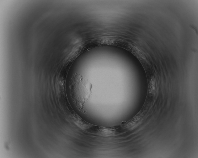 X0000093490522200710121509