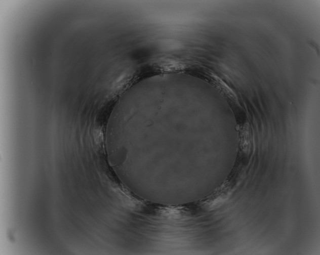 X0000093490523200710121509