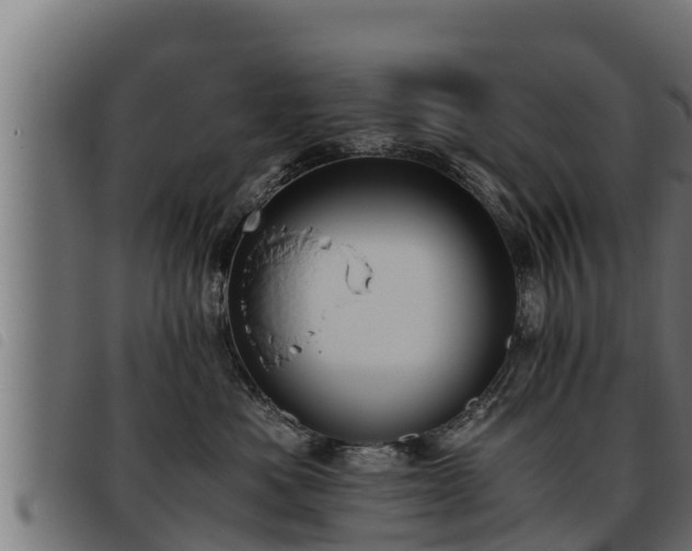 X0000093490525200710121509