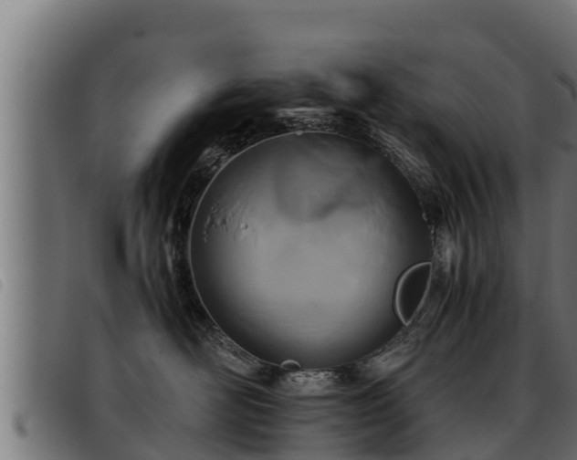 X0000093490526200710121509