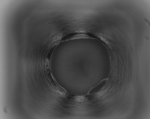 X0000093490528200710121509