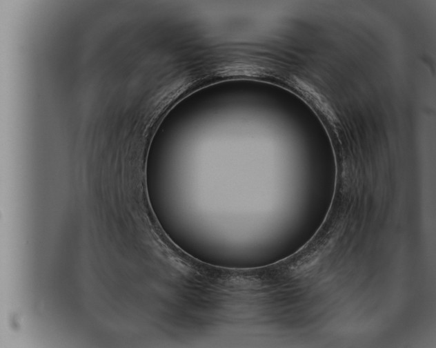 X0000093490529200710121508