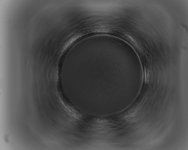 X0000093490531200710121508