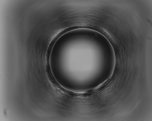 X0000093490532200710121508