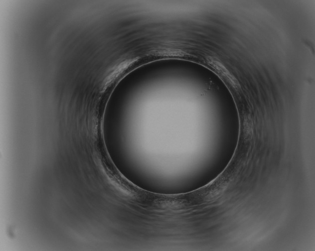 X0000093490533200710121508