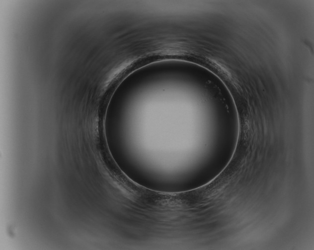 X0000093490535200710121508
