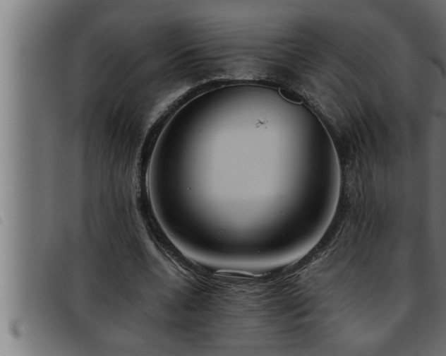 X0000093490536200710121509