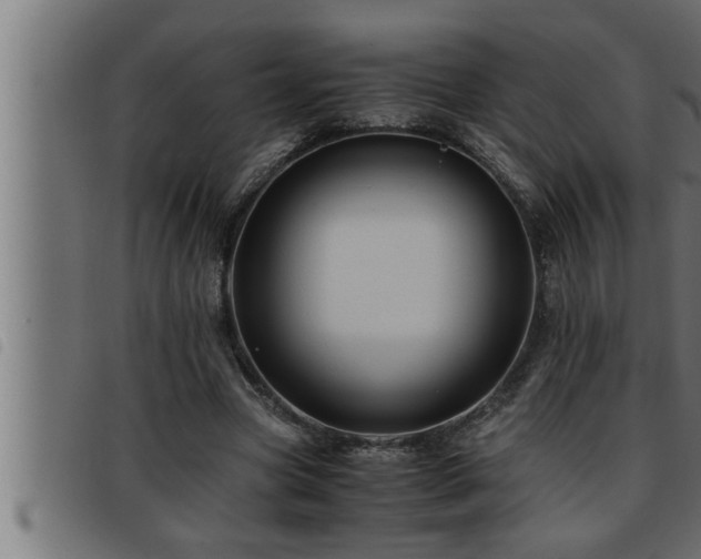 X0000093490537200710121509