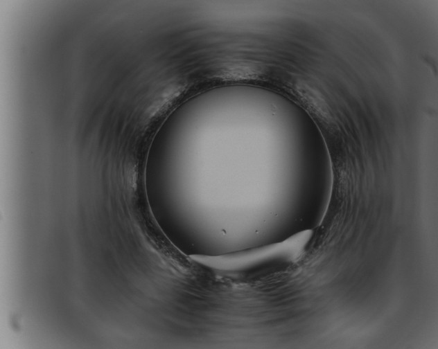 X0000093490539200710121509
