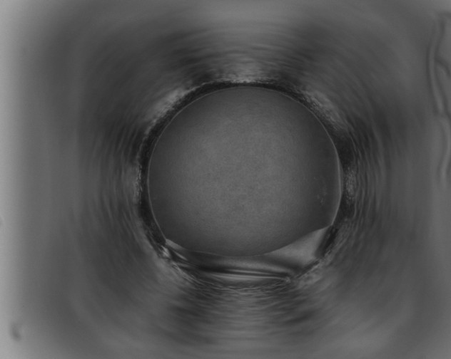 X0000093490540200710121509