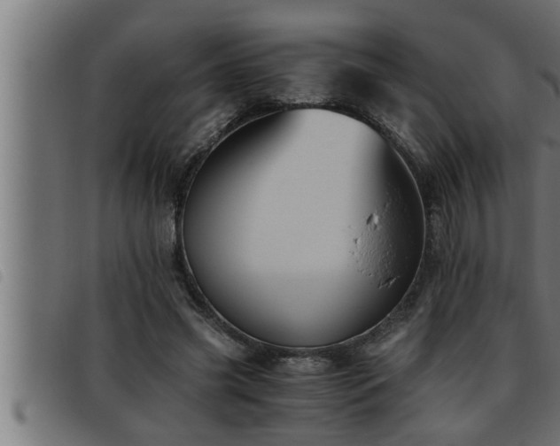 X0000093490541200710121509