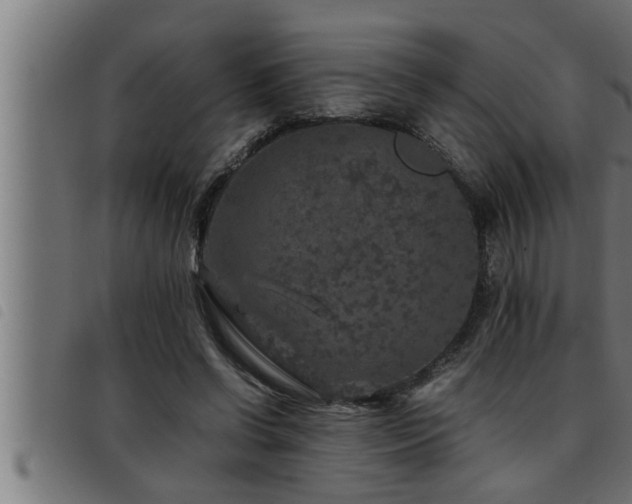X0000093490542200710121509