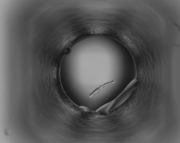 X0000093490543200710121509