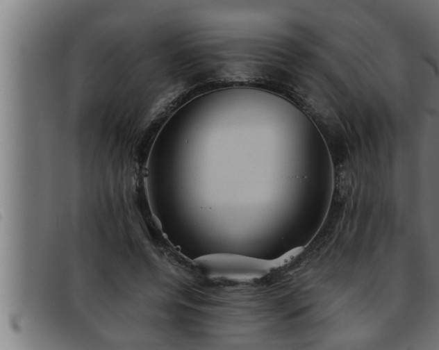 X0000093490544200710121509