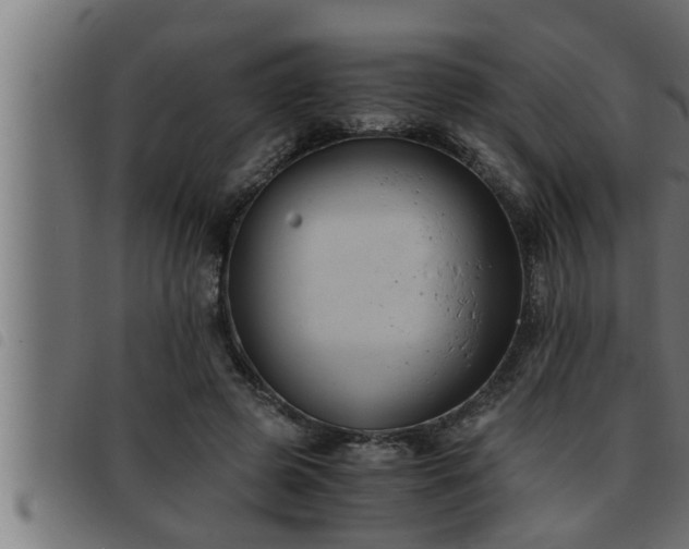 X0000093490545200710121509