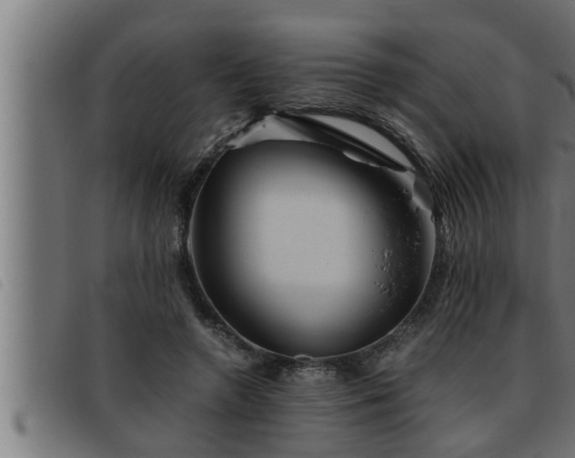 X0000093490546200710121509
