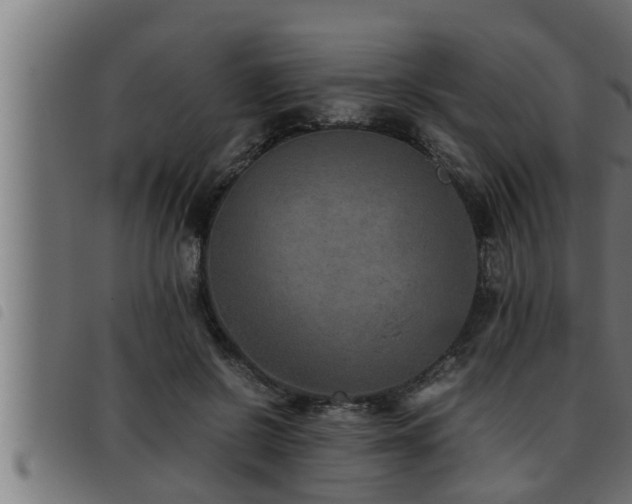 X0000093490550200710121509
