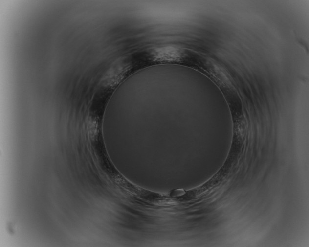 X0000093490551200710121509