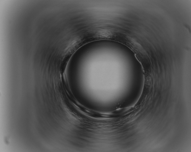 X0000093490552200710121509